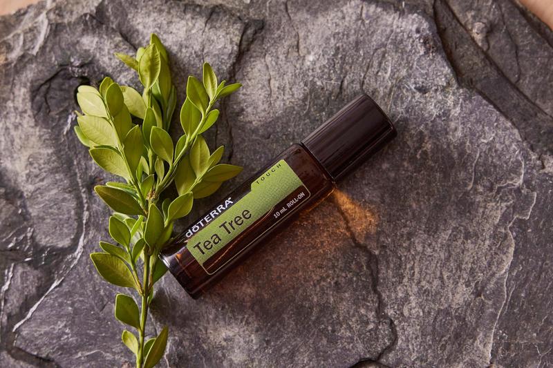 Óleo Essencial doTERRA Melaleuca (Tea Tree) Touch 10ml Roll On